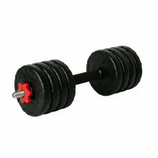 دمبل گرد قابل تنظیم 8 کیلوگرم رادیس فیت مدل DVP8-1000 One Handle