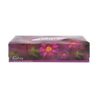 دستمال کاغذی دولایه 100 برگ گلریز