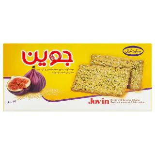 جوین شیره انجیر 500 گرمی گرجی