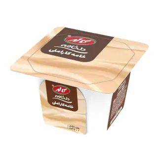 خامه کاراملی دلخامه 100 گرمی