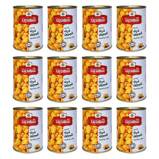 کنسرو ذرت شیرین شهدین - 370 گرم بسته 12 عددی