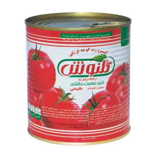 رب گوجه فرنگی گلنوش 820 گرمی